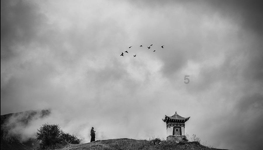 逃离空旷大街8