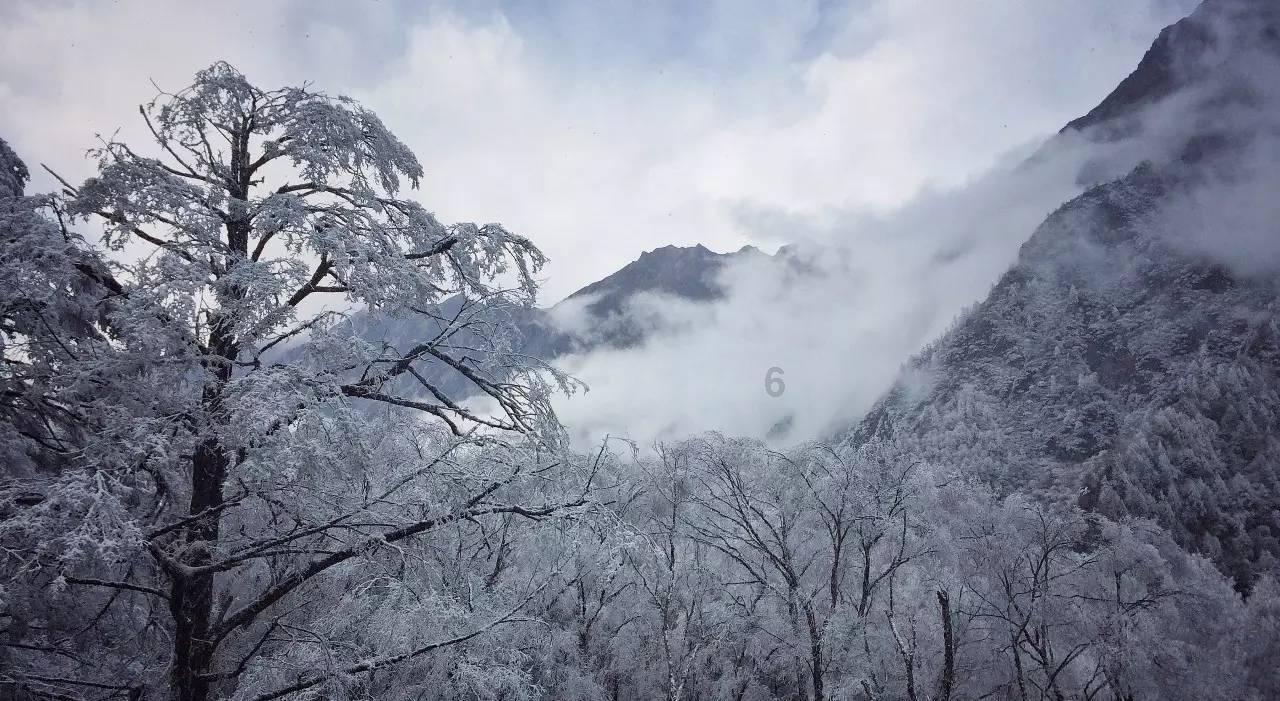 电视剧《开端》迎来大结局，剧中哪些剧情让观众心生疑惑？游戏画面
