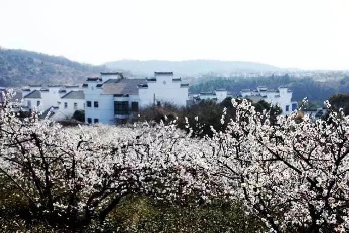 浩林体育|室内体育运动场馆的实木运动地板正确保养方法?