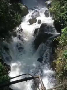 悲伤兔大冒险