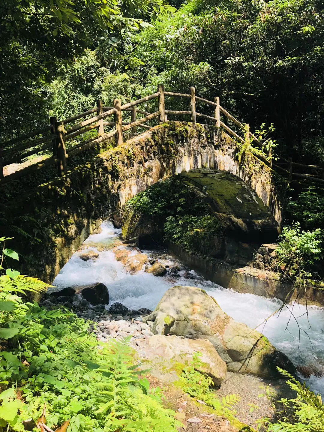 行尸走肉：第二季